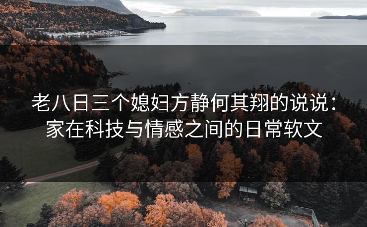 老八日三个媳妇方静何其翔的说说：家在科技与情感之间的日常软文
