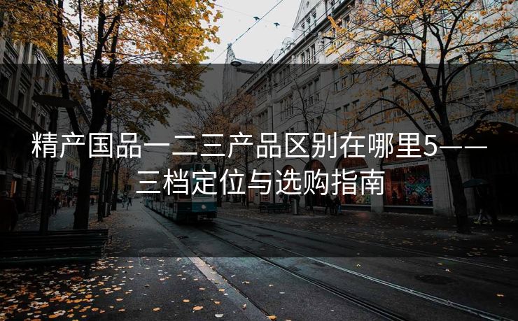 精产国品一二三产品区别在哪里5——三档定位与选购指南