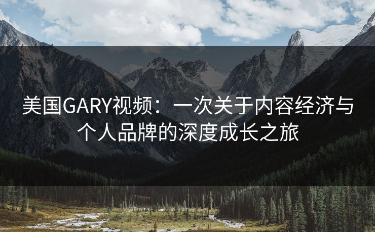 美国GARY视频：一次关于内容经济与个人品牌的深度成长之旅