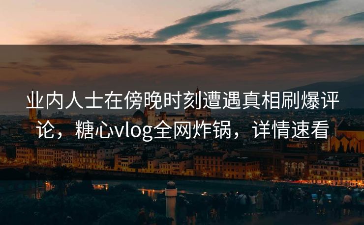 业内人士在傍晚时刻遭遇真相刷爆评论，糖心vlog全网炸锅，详情速看