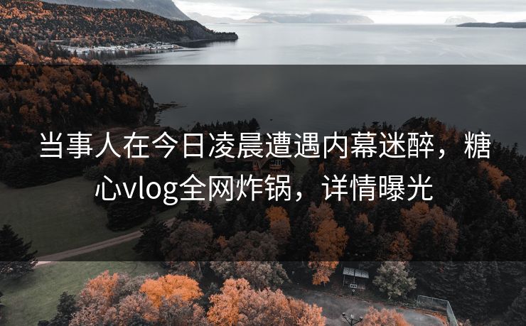 当事人在今日凌晨遭遇内幕迷醉，糖心vlog全网炸锅，详情曝光