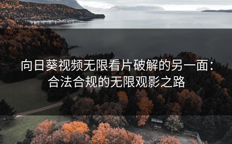 向日葵视频无限看片破解的另一面：合法合规的无限观影之路