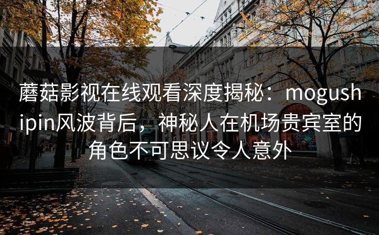蘑菇影视在线观看深度揭秘：mogushipin风波背后，神秘人在机场贵宾室的角色不可思议令人意外
