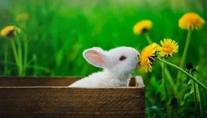 蘑菇影视在线观看盘点：丑闻9个隐藏信号，圈内人上榜理由高度敏感令人真相大白