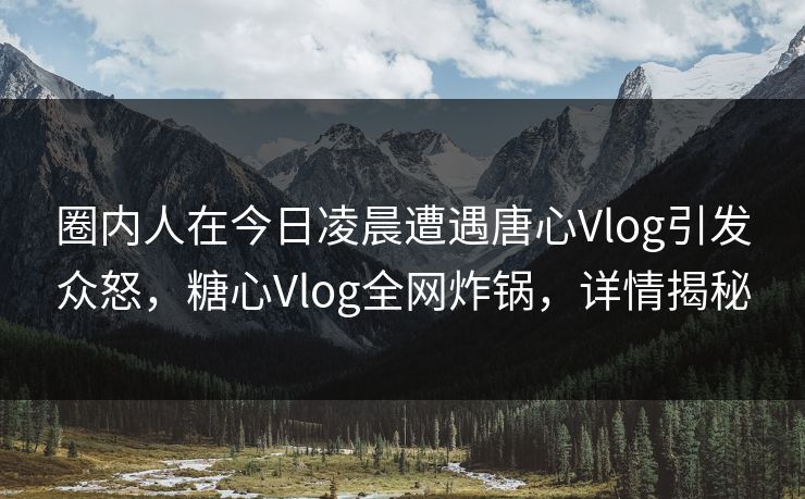 圈内人在今日凌晨遭遇唐心Vlog引发众怒，糖心Vlog全网炸锅，详情揭秘